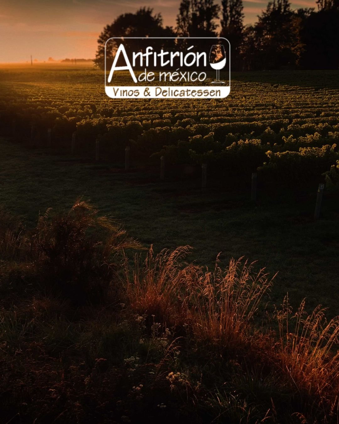 Anfitrión de México — captura 1