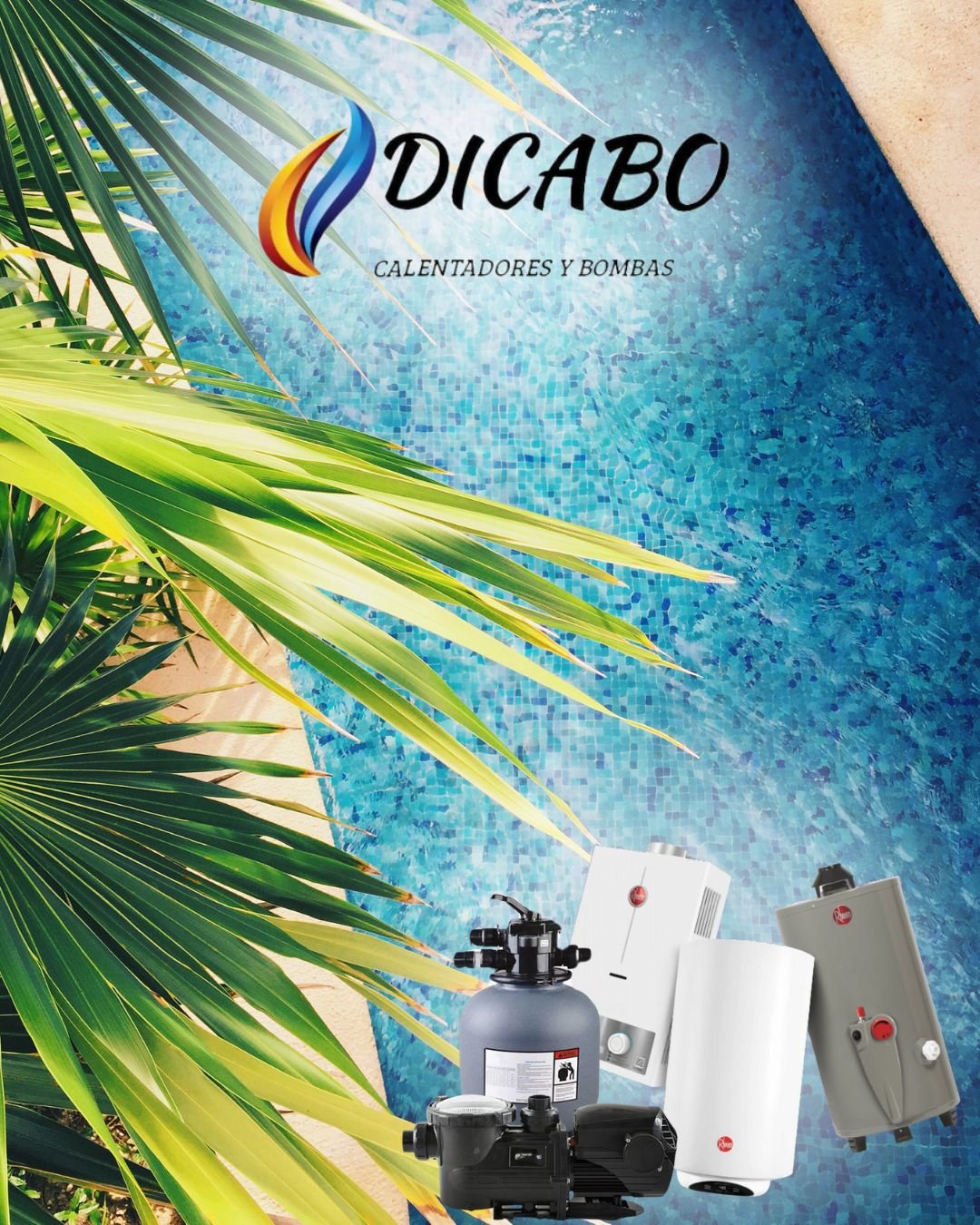 Dicabo — Servicios profesionales