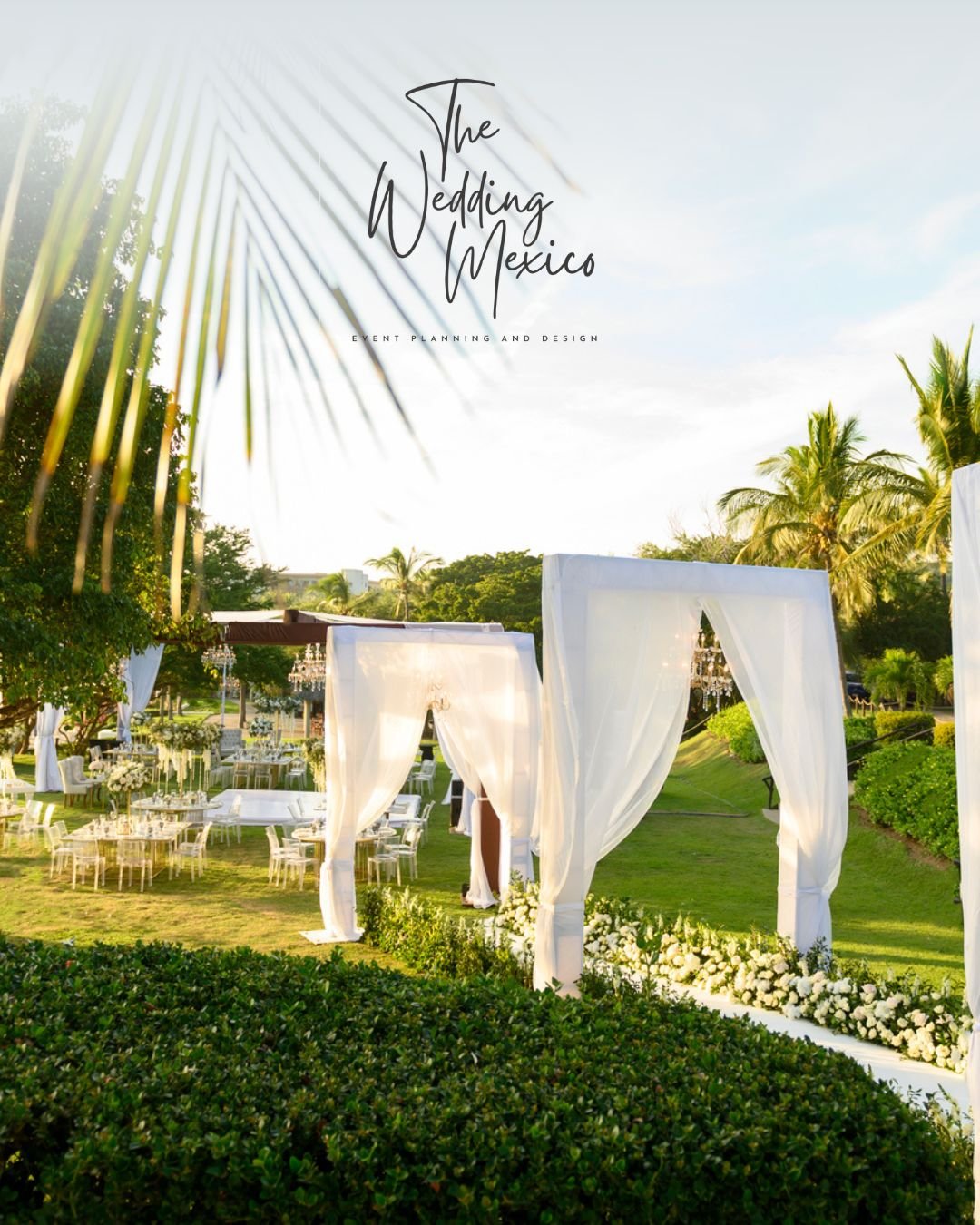 The Wedding Mexico — captura 1