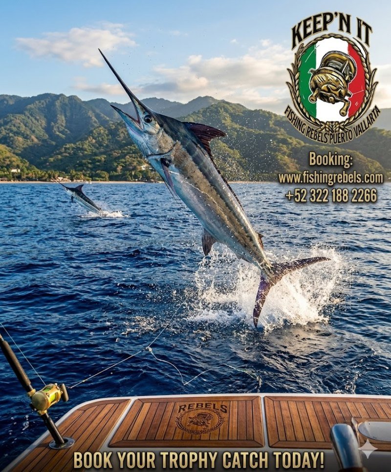 Marketing para tours de pesca en Puerto Vallarta: cómo se llena un barco todos los días